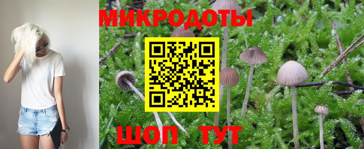 Новотроицк  Псилоцибиновые грибы MAGIC MUSHROOMS  Псилоцибиновые грибы Magic Shrooms  Вход с VPN 