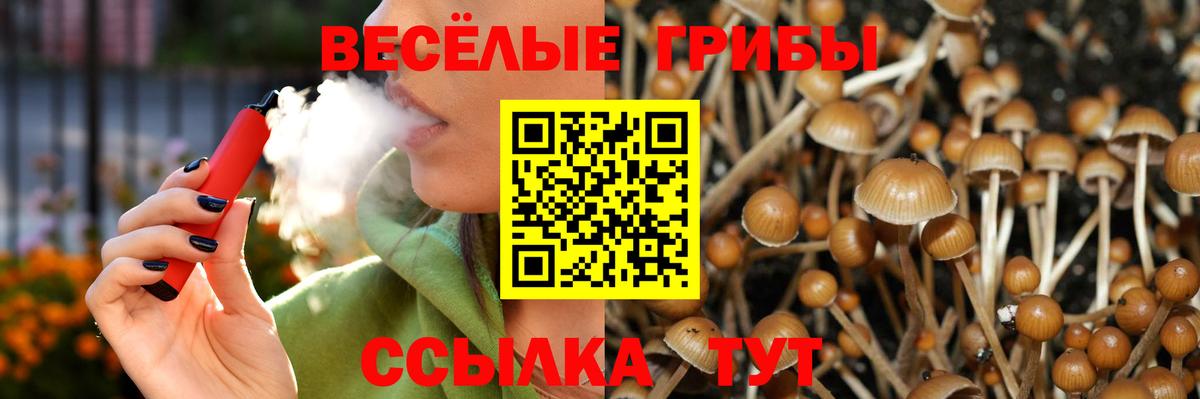 Псилоцибиновые грибы Cubensis Новотроицк